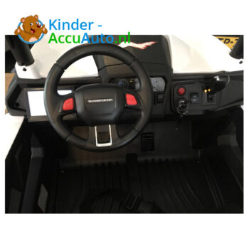 Beach Buggy Roze Kinderauto 4x4 AWD 10
