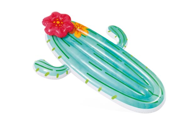 Intex Cactus luchtbed 3