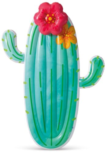 Intex Cactus luchtbed 1