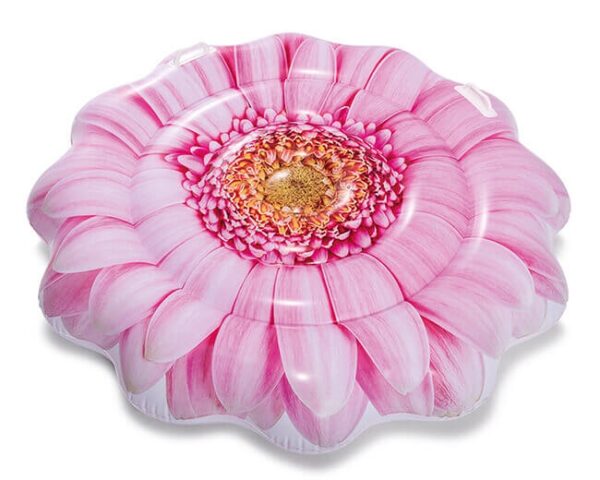 Pink Daisy luchtbed 3